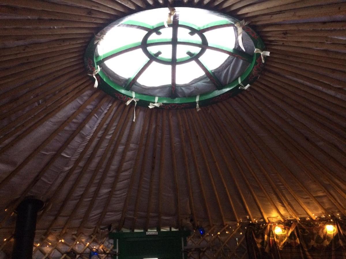 The Tall Pines Yurt Helmsdale Exterior foto